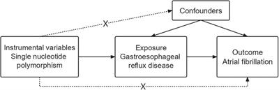 Gastroesophageal reflux disease may causally associate with the increased atrial fibrillation risk: evidence from two-sample Mendelian randomization analyses
